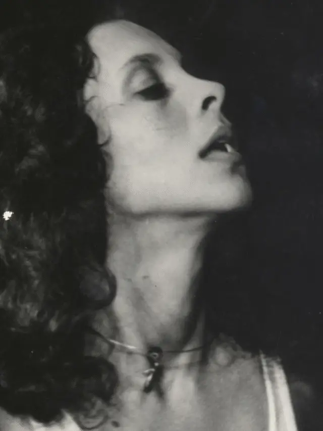 INSPIRAÇÕES SPFW N60