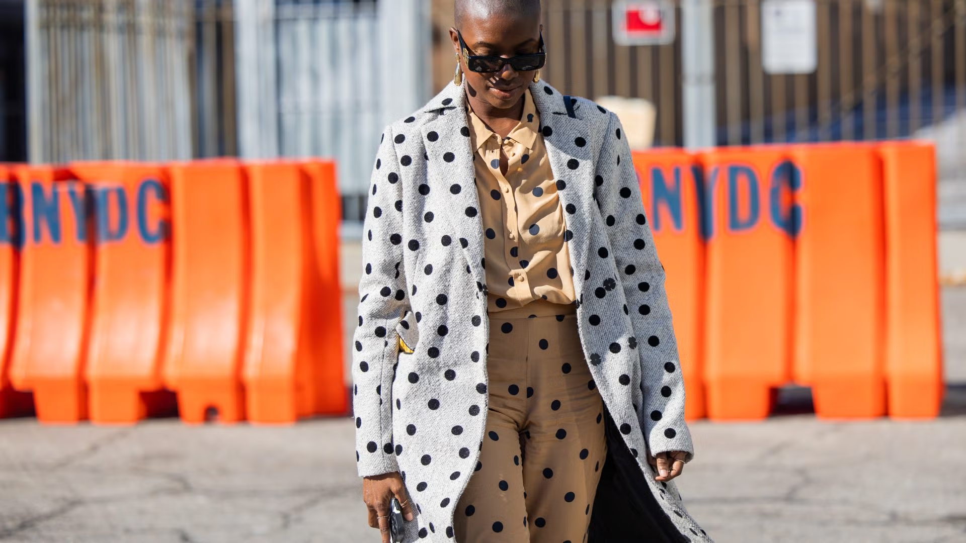 Início 1 A história da estampa poá ao longo dos séculos